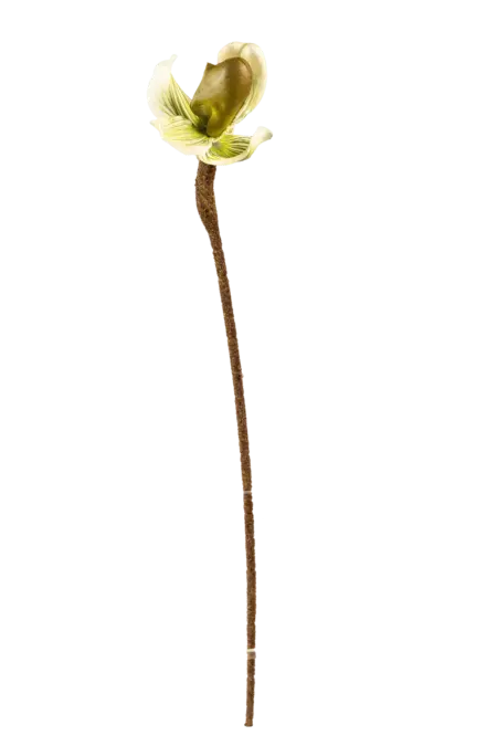 Artificial Venus Slipper Orchid — Sage Veil | Vyne