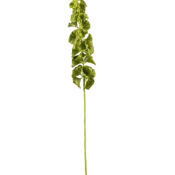 Artificial Moluccella Stem — Fresh Chartreuse | Vyne