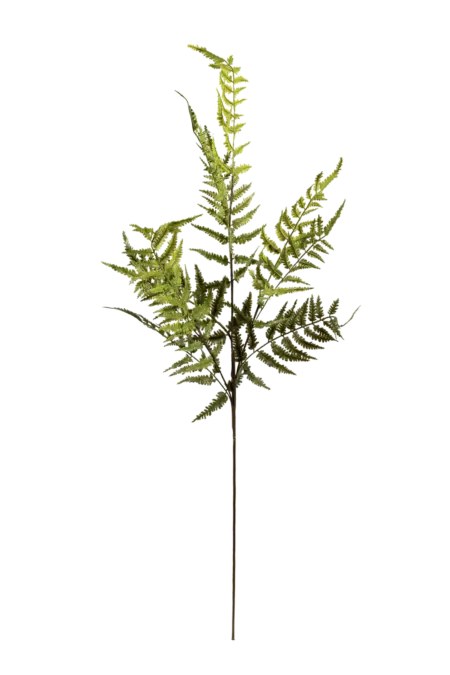 Artificial Sword Fern — Evergreen Pine Green | Vyne Boutique