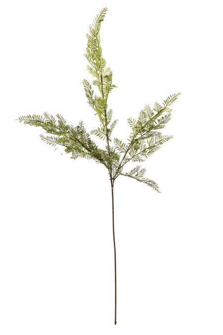 Artificial Cypress Branch — Evergreen Italian Cypress | Vyne