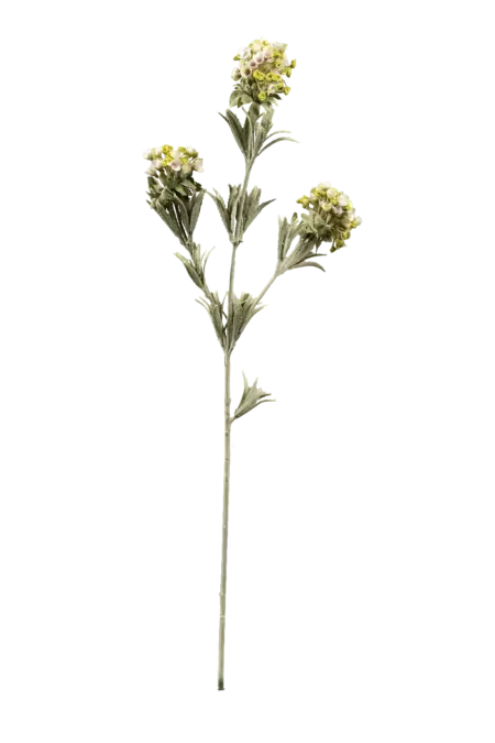 Artificial Statice Flower — Cream Meadow | Vyne Boutique