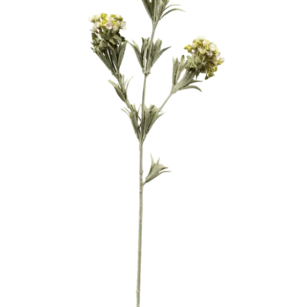 Artificial Statice Flower — Cream Meadow | Vyne Boutique