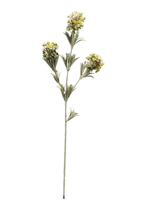 Artificial Statice Flower — Cream Meadow | Vyne Boutique