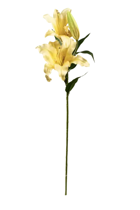 Artificial Lily Flower — Buttercream Glow Stargazer | Vyne