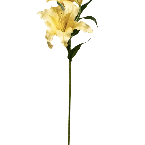Artificial Lily Flower — Buttercream Glow Stargazer | Vyne