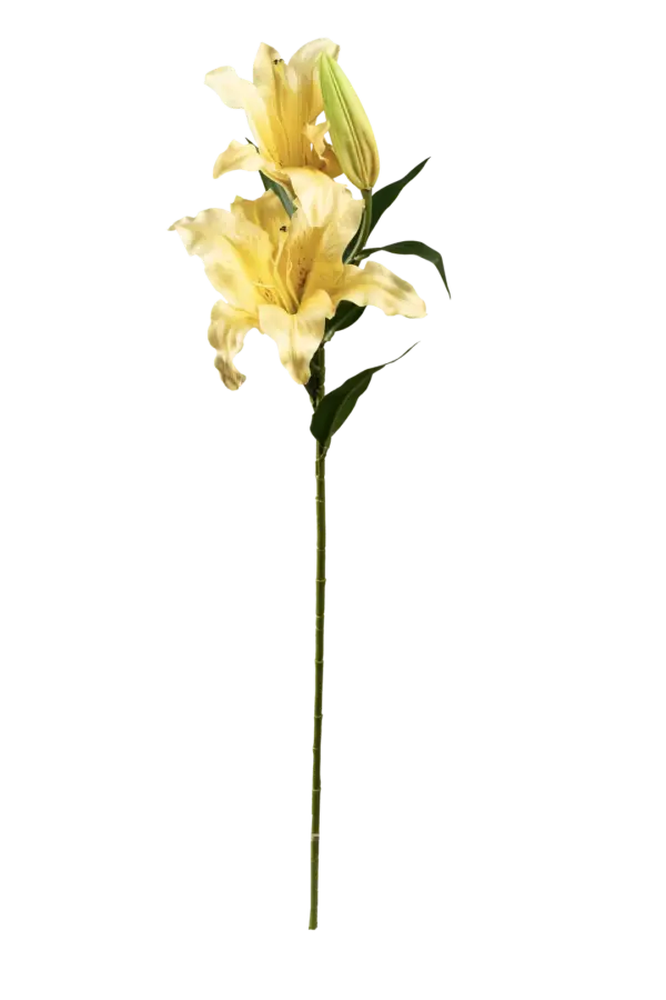 Artificial Lily Flower — Buttercream Glow Stargazer | Vyne