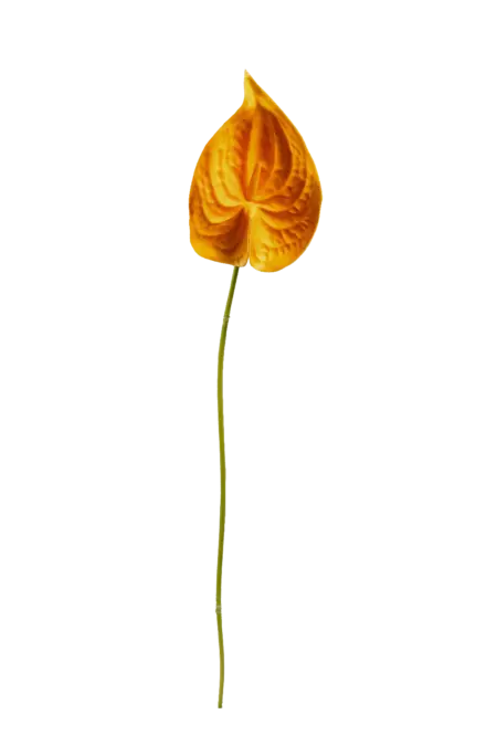 Artificial Orange Anthurium — Golden Flame | Vyne