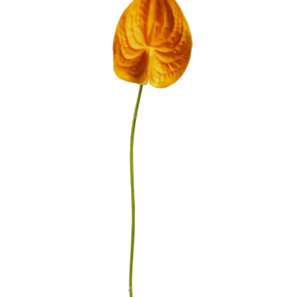 Artificial Orange Anthurium — Golden Flame | Vyne