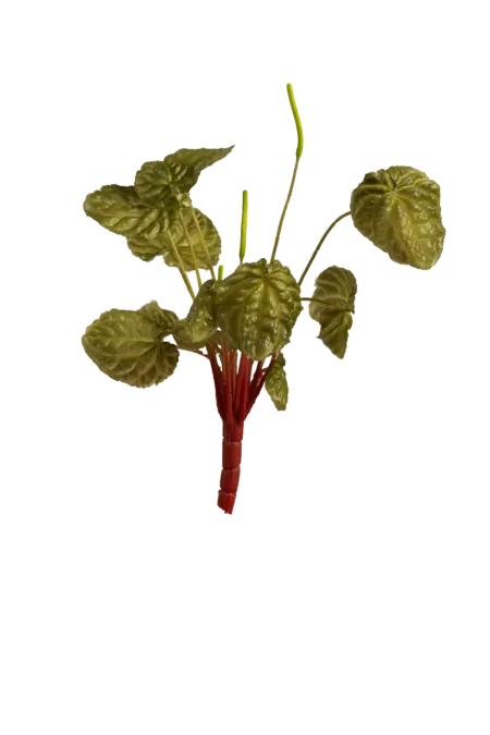 Artificial Peperomia Plant — Olive Mist | Vyne Boutique