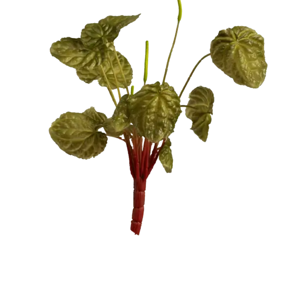 Artificial Peperomia Plant — Olive Mist | Vyne Boutique