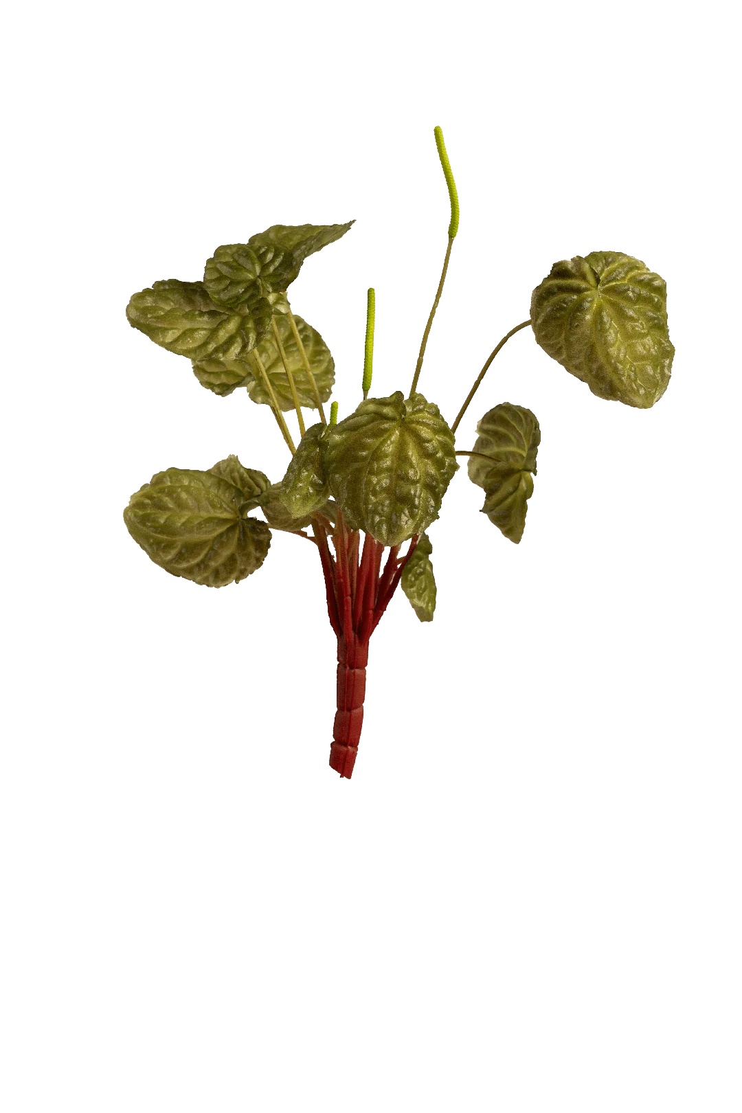 Peperomia (Olive Mist) | Vyne Artificial Peperomia Plant — Olive Mist | Vyne Boutique