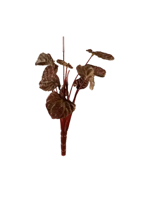 Artificial Peperomia Plant — Burgundy Smoke | Vyne