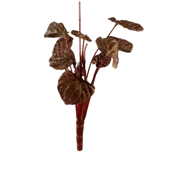 Artificial Peperomia Plant — Burgundy Smoke | Vyne