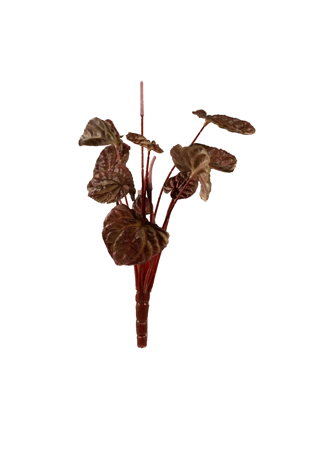 Peperomia (Burgundy Smoke) | Vyne Artificial Peperomia Plant — Burgundy Smoke | Vyne