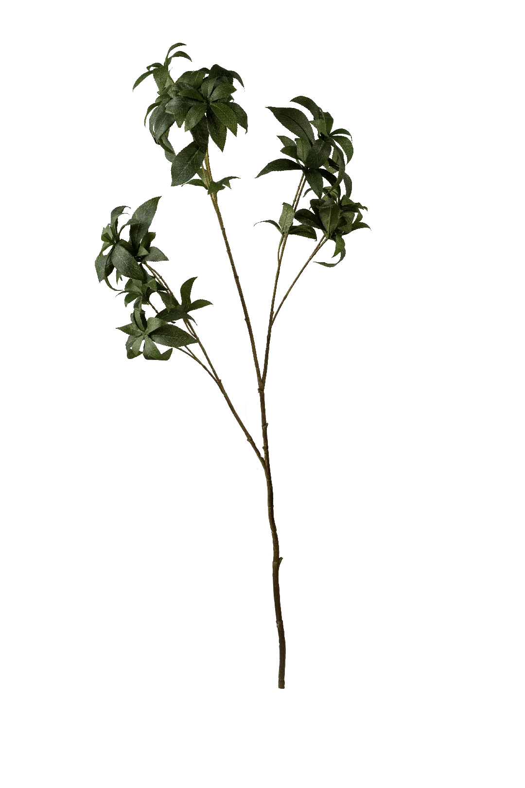 Myrtle Branch | Vyne Artificial Myrtle Branch — Deep Green | Vyne Boutique