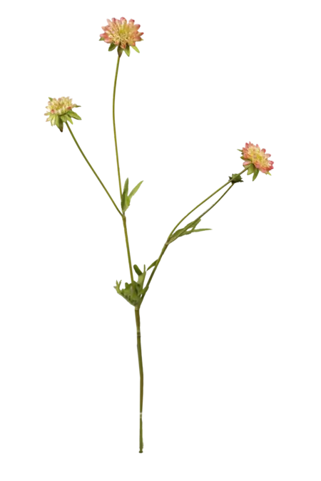 Artificial Zinnia Flower — Coral Blush | Vyne Boutique