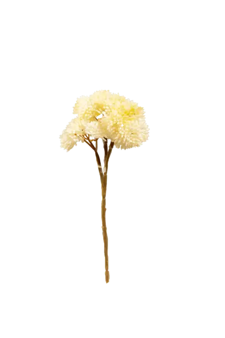 Artificial Succulent Stem — Ivory Frost Crassula | Vyne