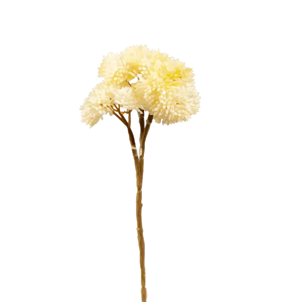 Artificial Succulent Stem — Ivory Frost Crassula | Vyne