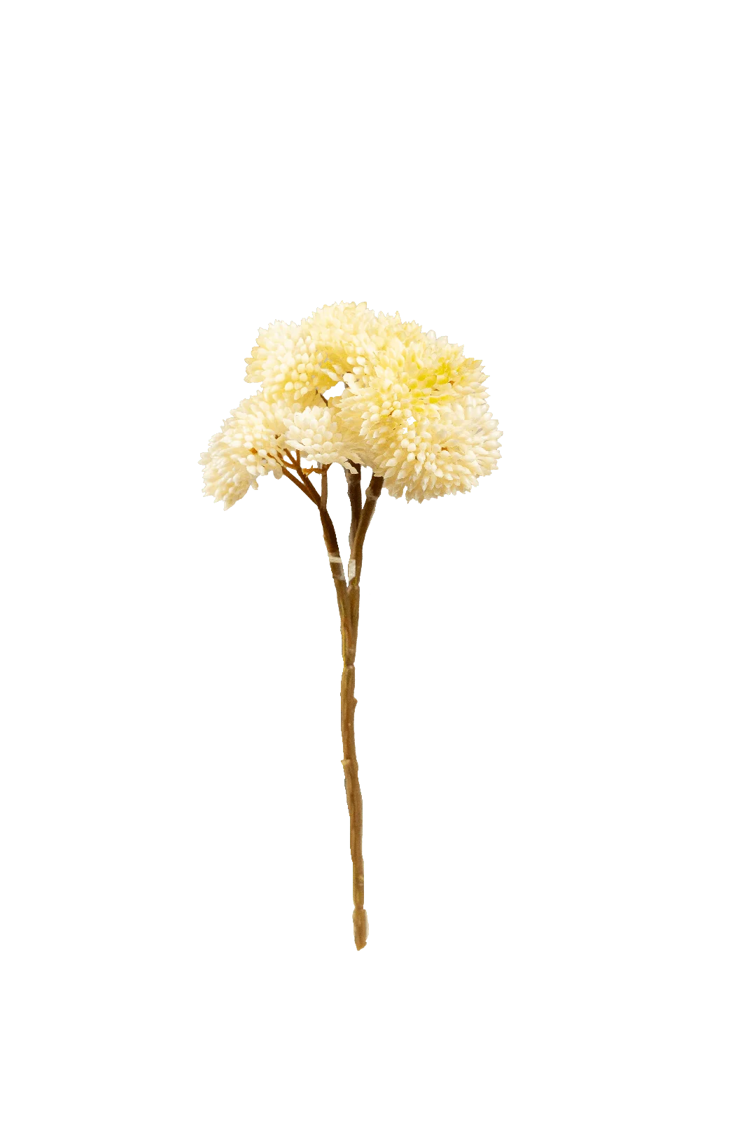 Crassula Falcata (Ivory Frost) | Vyne Artificial Succulent Stem — Ivory Frost Crassula | Vyne