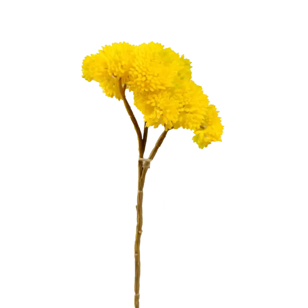 Artificial Succulent Stem — Lemon Zest Crassula | Vyne