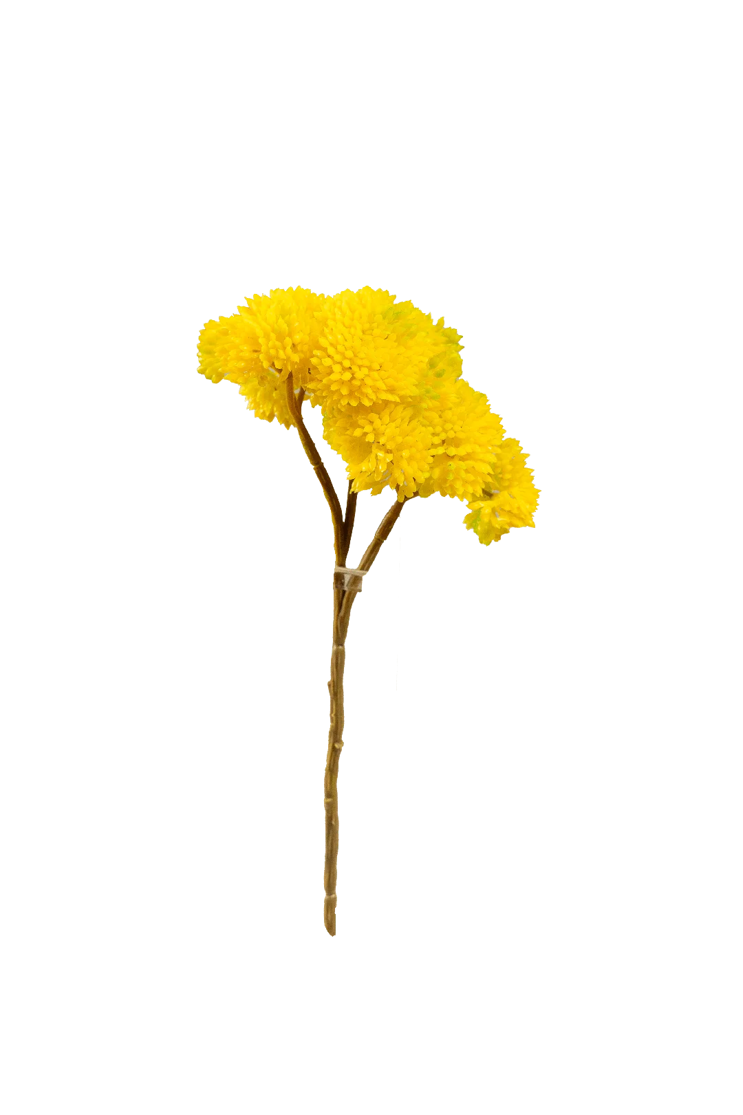Crassula Falcata (Lemon Zest) | Vyne Artificial Succulent Stem — Lemon Zest Crassula | Vyne