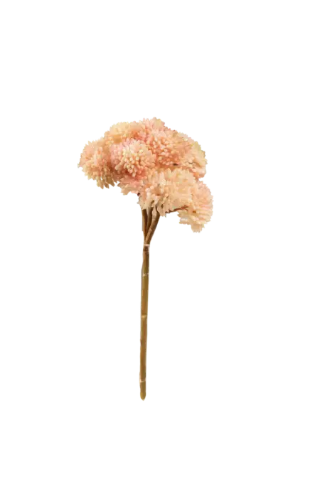 Artificial Succulent Stem — Blush Almond Crassula | Vyne