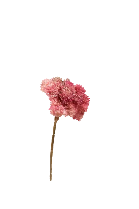 Artificial Succulent Stem — Rose Bloom Crassula | Vyne