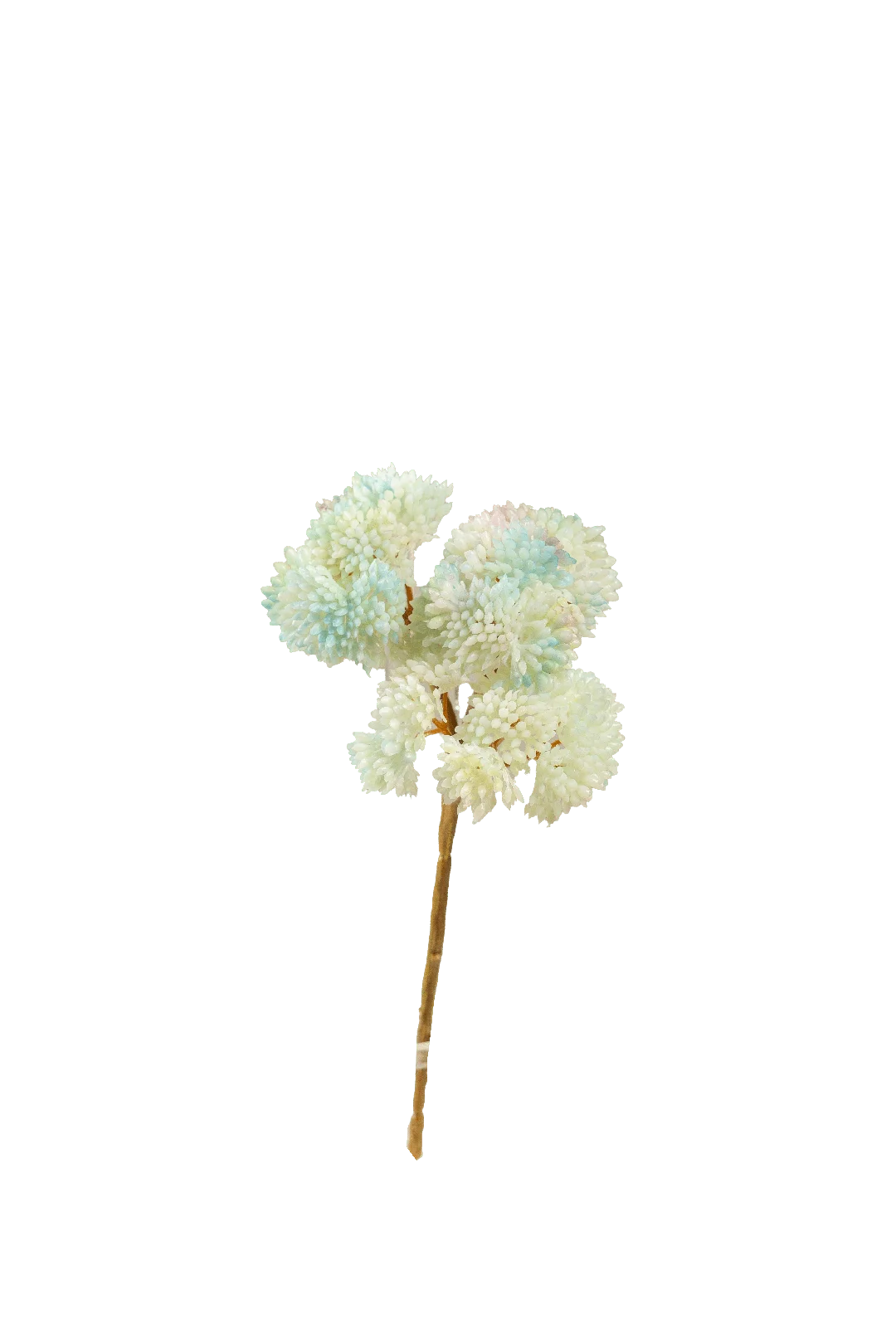 Crassula Falcata (Glacier Mist) | Vyne Artificial Succulent Stem — Glacier Mist Crassula | Vyne