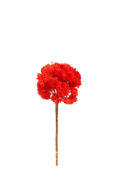 Artificial Succulent Stem — Cherry Crimson Crassula | Vyne