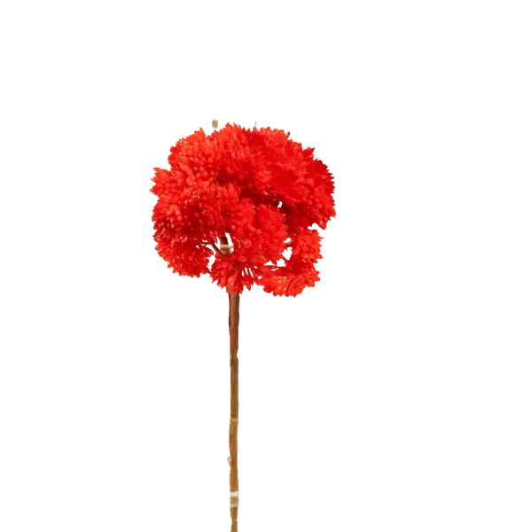 Artificial Succulent Stem — Cherry Crimson Crassula | Vyne