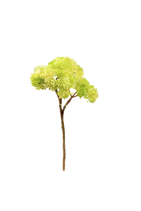 Artificial Succulent Stem — Spring Lime Crassula | Vyne