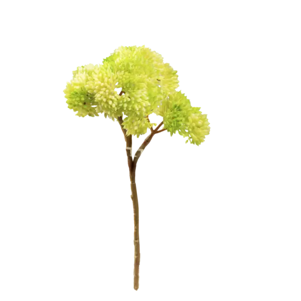 Artificial Succulent Stem — Spring Lime Crassula | Vyne