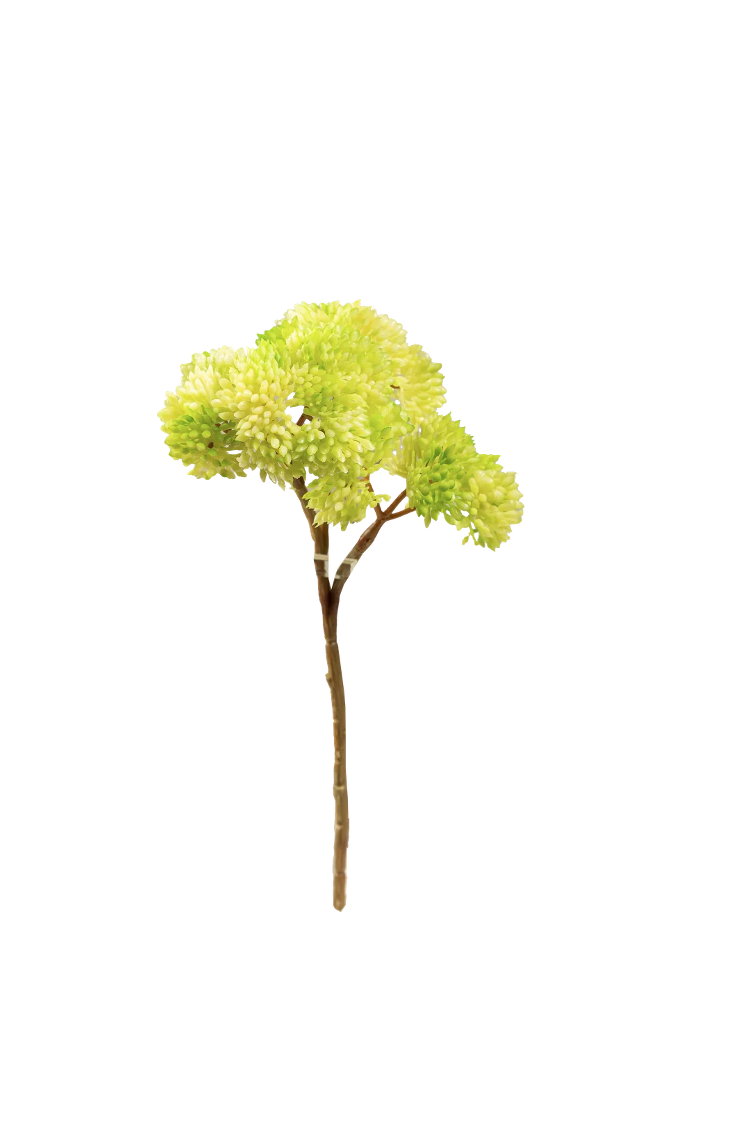 Crassula Falcata (Spring Lime) | Vyne Artificial Succulent Stem — Spring Lime Crassula | Vyne