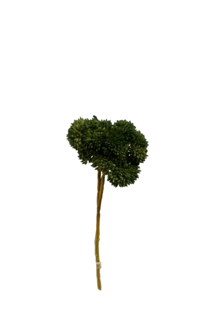 Artificial Succulent Stem — Deep Forest Crassula | Vyne