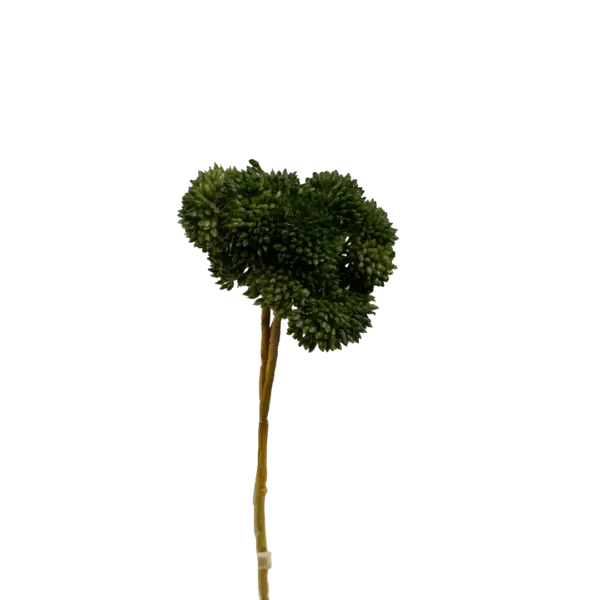 Artificial Succulent Stem — Deep Forest Crassula | Vyne
