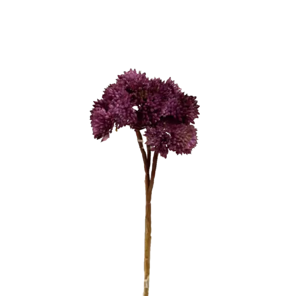 Artificial Succulent Stem — Royal Plum Crassula | Vyne