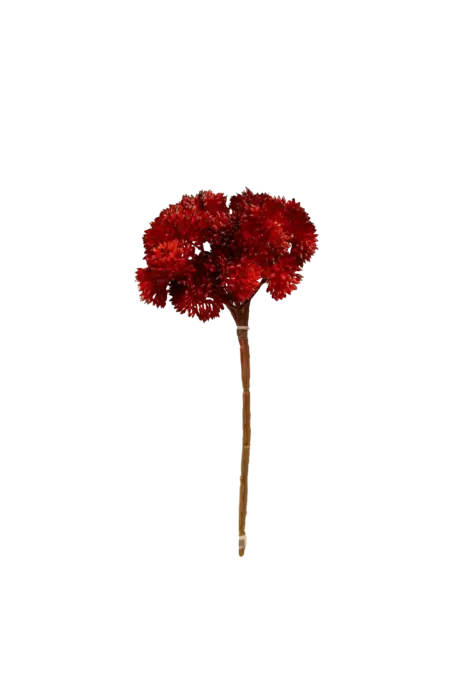Artificial Succulent Stem — Coral Flame Crassula | Vyne