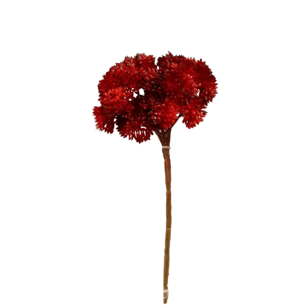 Artificial Succulent Stem — Coral Flame Crassula | Vyne