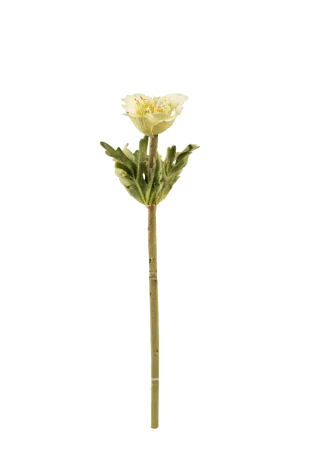 Artificial Anemone Flower — Pistachio Veil Green | Vyne