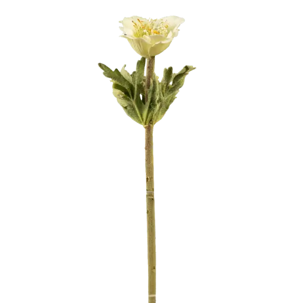 Artificial Anemone Flower — Pistachio Veil Green | Vyne