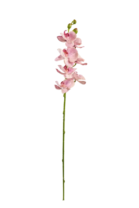 Artificial Orchid Spray — Dusty Blush Pink | Vyne Boutique