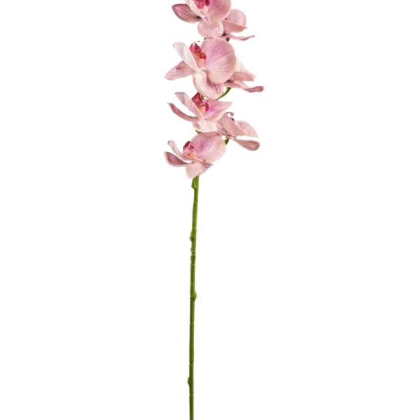 Artificial Orchid Spray — Dusty Blush Pink | Vyne Boutique