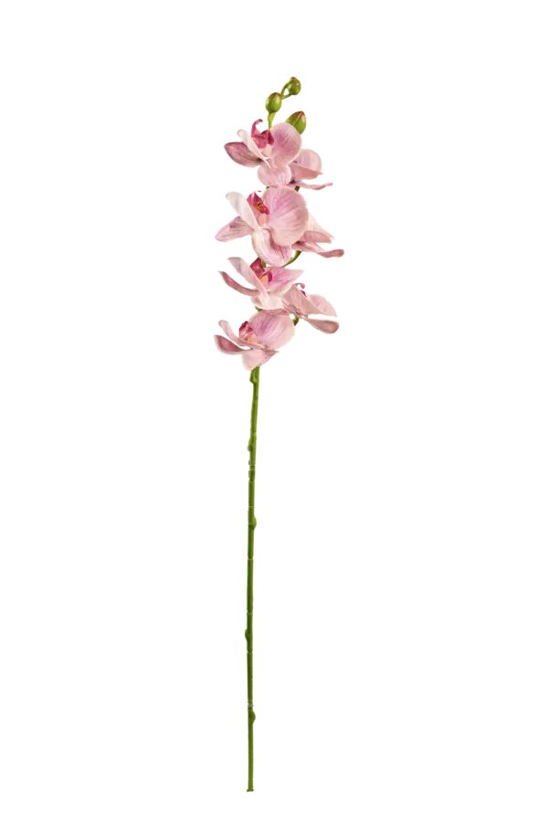 Artificial Orchid Spray — Dusty Blush Pink | Vyne Boutique
