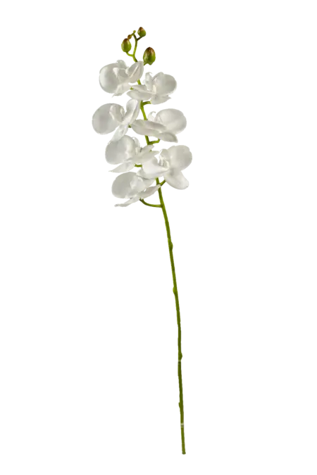 Artificial Orchid Spray — Pure Snow White | Vyne Boutique