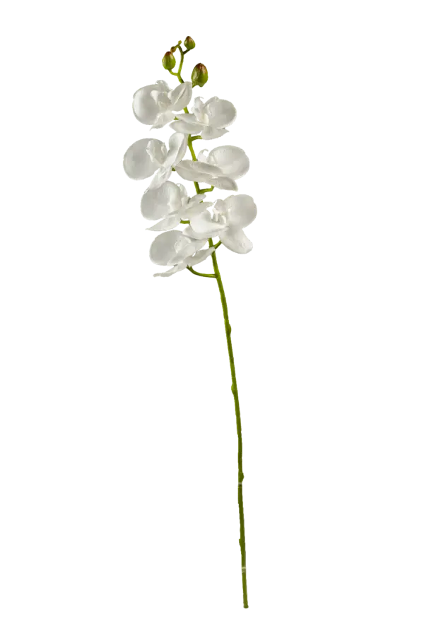 Artificial Orchid Spray — Pure Snow White | Vyne Boutique