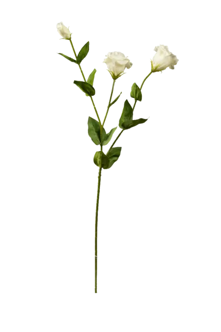 Artificial Eustoma Flower — Ivory Cream | Vyne Boutique