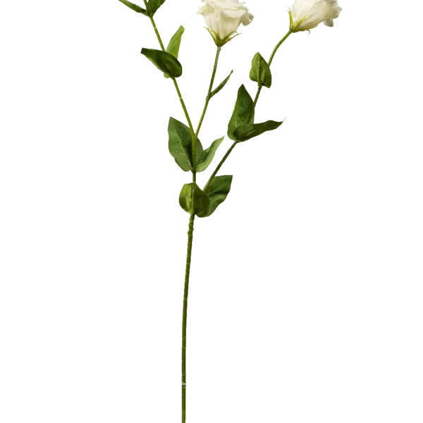 Artificial Eustoma Flower — Ivory Cream | Vyne Boutique