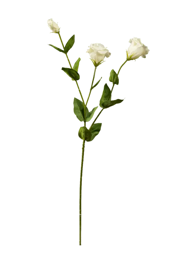 Artificial Eustoma Flower — Ivory Cream | Vyne Boutique