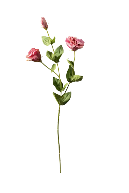 Artificial Eustoma Flower — Raspberry Bloom | Vyne Boutique