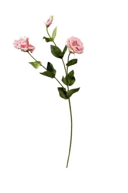 Artificial Eustoma Flower — Soft Apricot Mist | Vyne Boutique